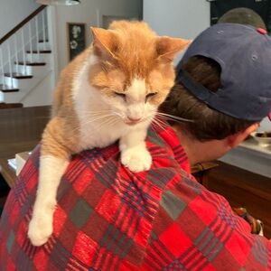 Meet your Posher, Michele